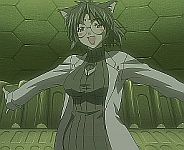 Shader